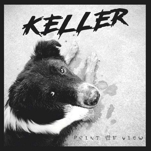 Cover art for Point of View